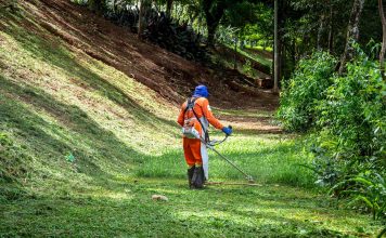 Fir pentru motocoasă: lungimea optimă pentru desfășurarea facilă a activității